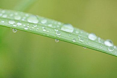 高能电玩节：《灵魂骇客2》角色PV第2弹“米莱狄”于“B站高能电玩节”公开！